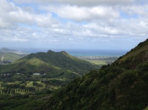 View from Pali Lookout